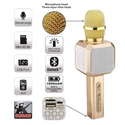 YS69 Magic Karaoke Wireless Microphone 