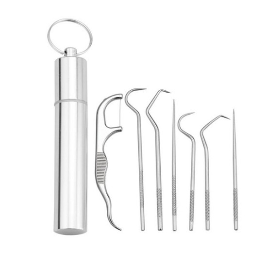 Stainless Steel Metal Toothpick Set