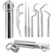 Stainless Steel Metal Toothpick Set