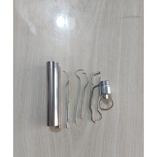 Stainless Steel Metal Toothpick Set