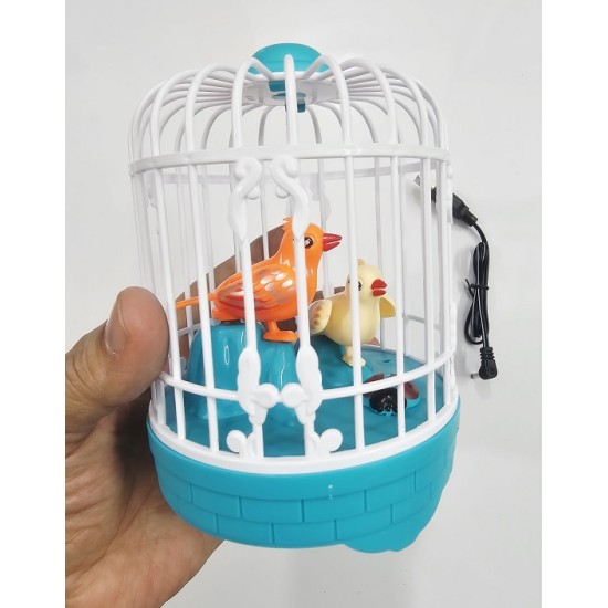 Kids Toy Talking Birds With Voice Talk Back