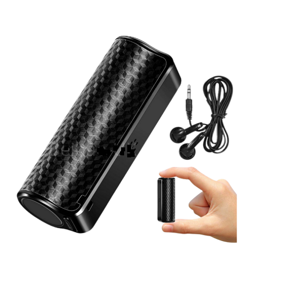 Q70 Professional Portable Digital Voice Recorder 8GB