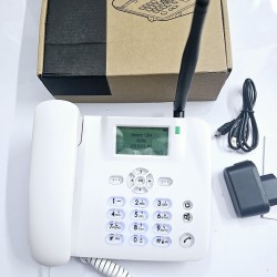 Huawei F317 Land Phone Single SIM Backlit White