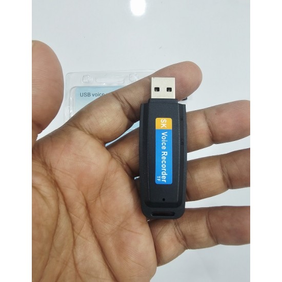 SK USB Mini Digital Hidden Voice Recorder