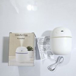 Portable Colorful Egg Humidifier 220ML