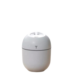 Portable Colorful Egg Humidifier 220ML