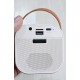 K12 RGB Wireless Karaoke Bluetooth Speaker With Two Microphone 
