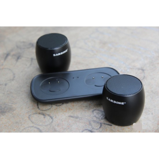 Sardine F1 Metal Subwoofer TWS System Bluetooth Speakers