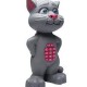 Talking Tom With Keypad 