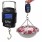 Digital Weight Scale