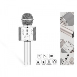 WS858 Wireless Microphone Karaoke Bluetooth KTV HIFI Speaker